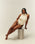 MAIO SUZANA NERVURA WHITE CLAY