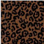 ISLA JAGUAR NOIR SWIMSUIT