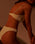 LIGIA TOP BLANCO ROTO