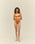VA TOP APRICOT