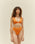 VA TOP APRICOT