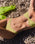 LANA TOP VERDE PALMA