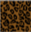 CLARA BOTTOM BLURRED JAGUAR