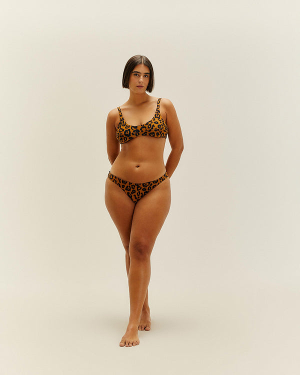 PIPING HOTPANTS BLURRED JAGUAR