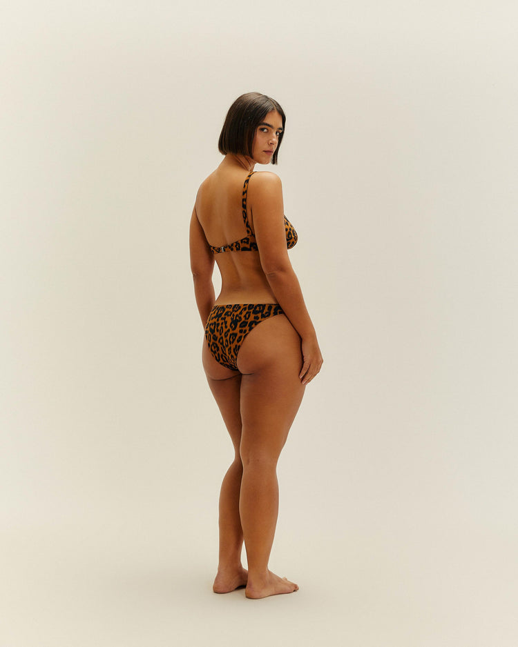 PIPING HOTPANTS BLURRED JAGUAR
