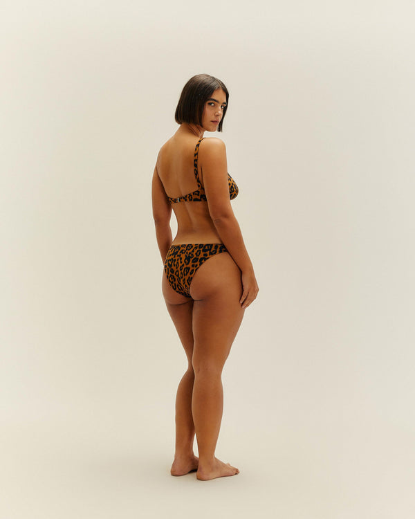 PIPING HOTPANTS BLURRED JAGUAR