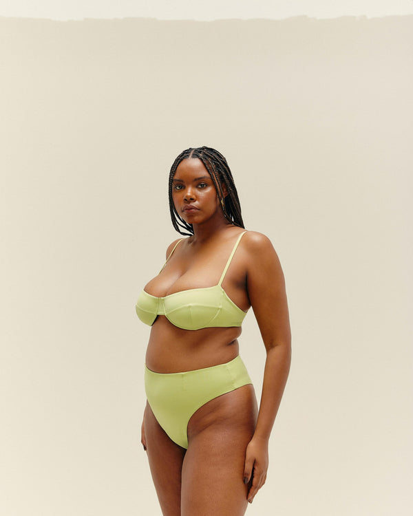 CLASSIC HOTPANTS PALM GREEN