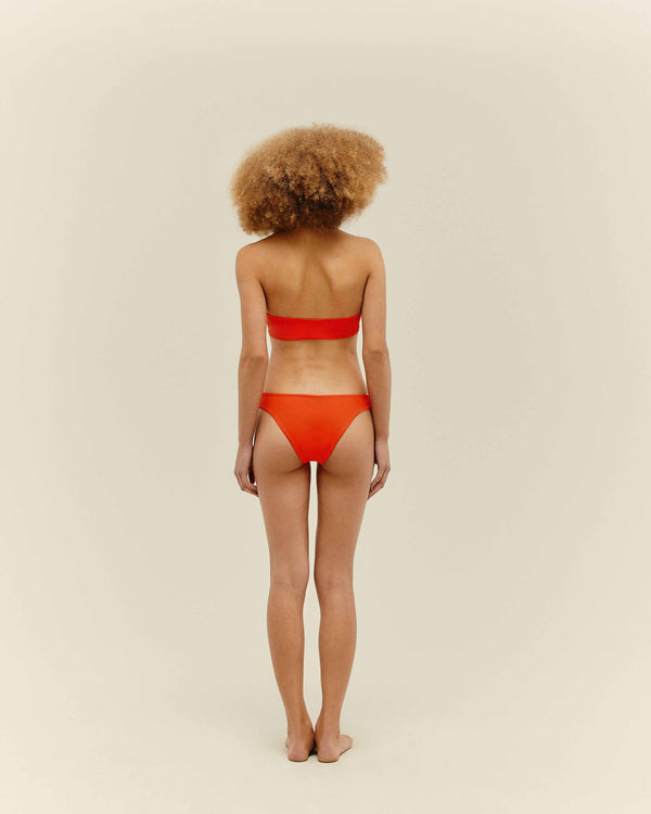 BASIC BOTTOM CORALLO