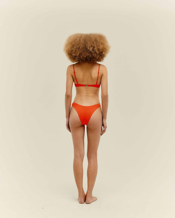 LEILA BOTTOM CORALLO