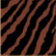 LEILA BOTTOM TIGER