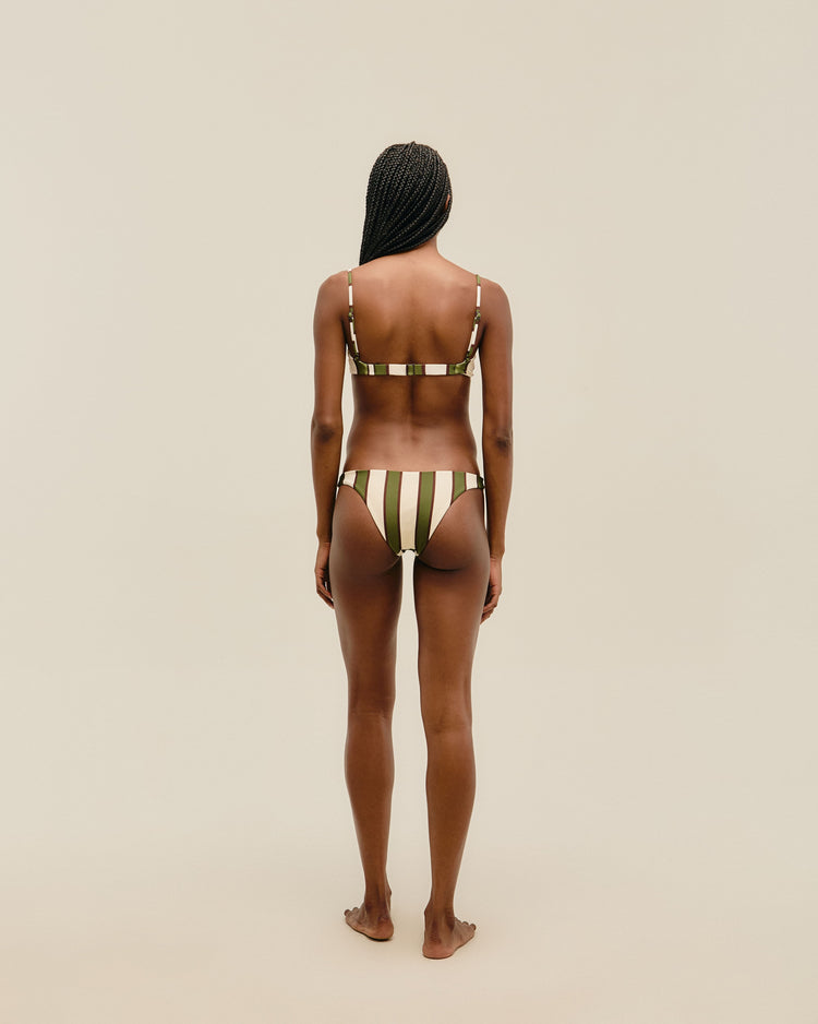 THIN BASIC BOTTOM OLIVE STRIPES