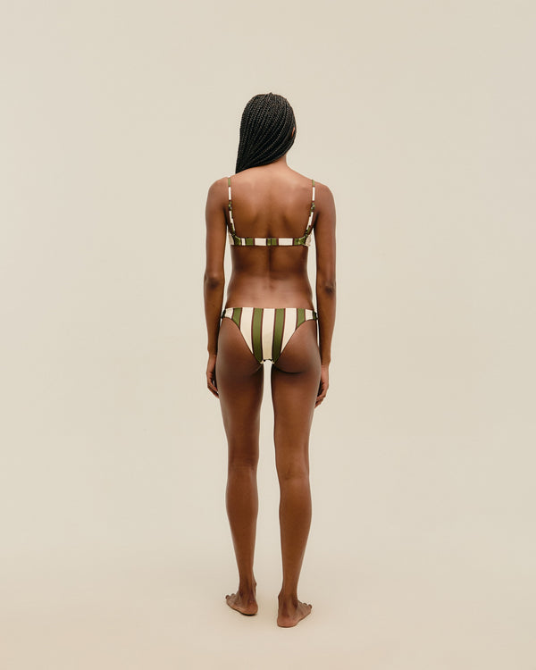 THIN BASIC BOTTOM OLIVE STRIPES