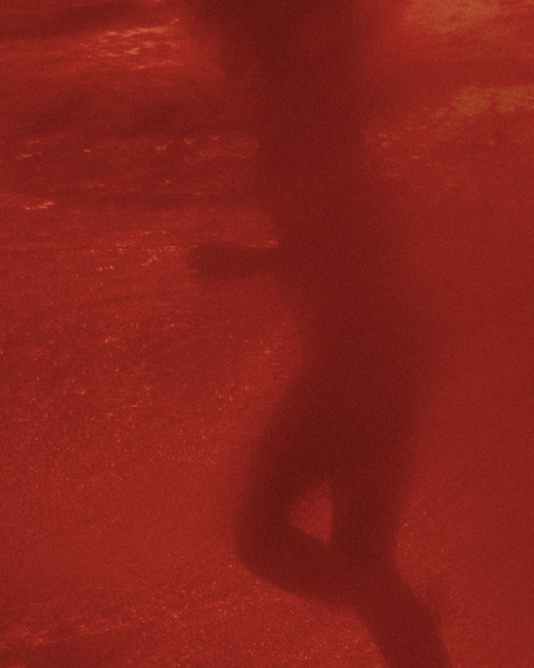 ABITO SILK BARBARA CON STAMPA ZENITH